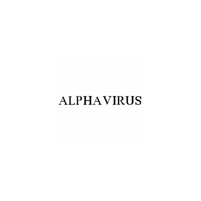 Alphavirus