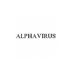 Alphavirus